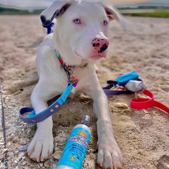 Sunscreen SPF 30+ Moisturizing Pet Sun Spray - Safe for Dogs, Cats & Horses - Na - Picture 4 of 6